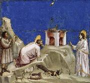 GIOTTO di Bondone Joachim-s Sacrificial Offering oil